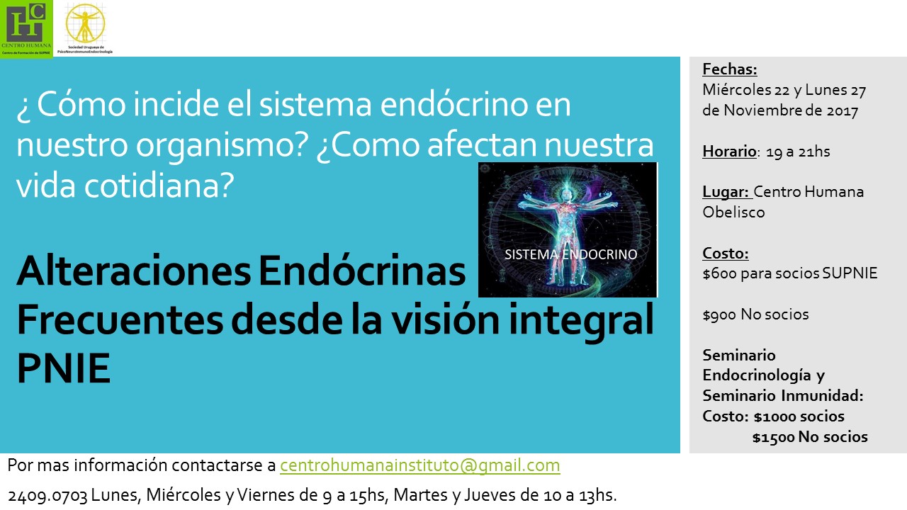 mes11_endocrinologia.jpg