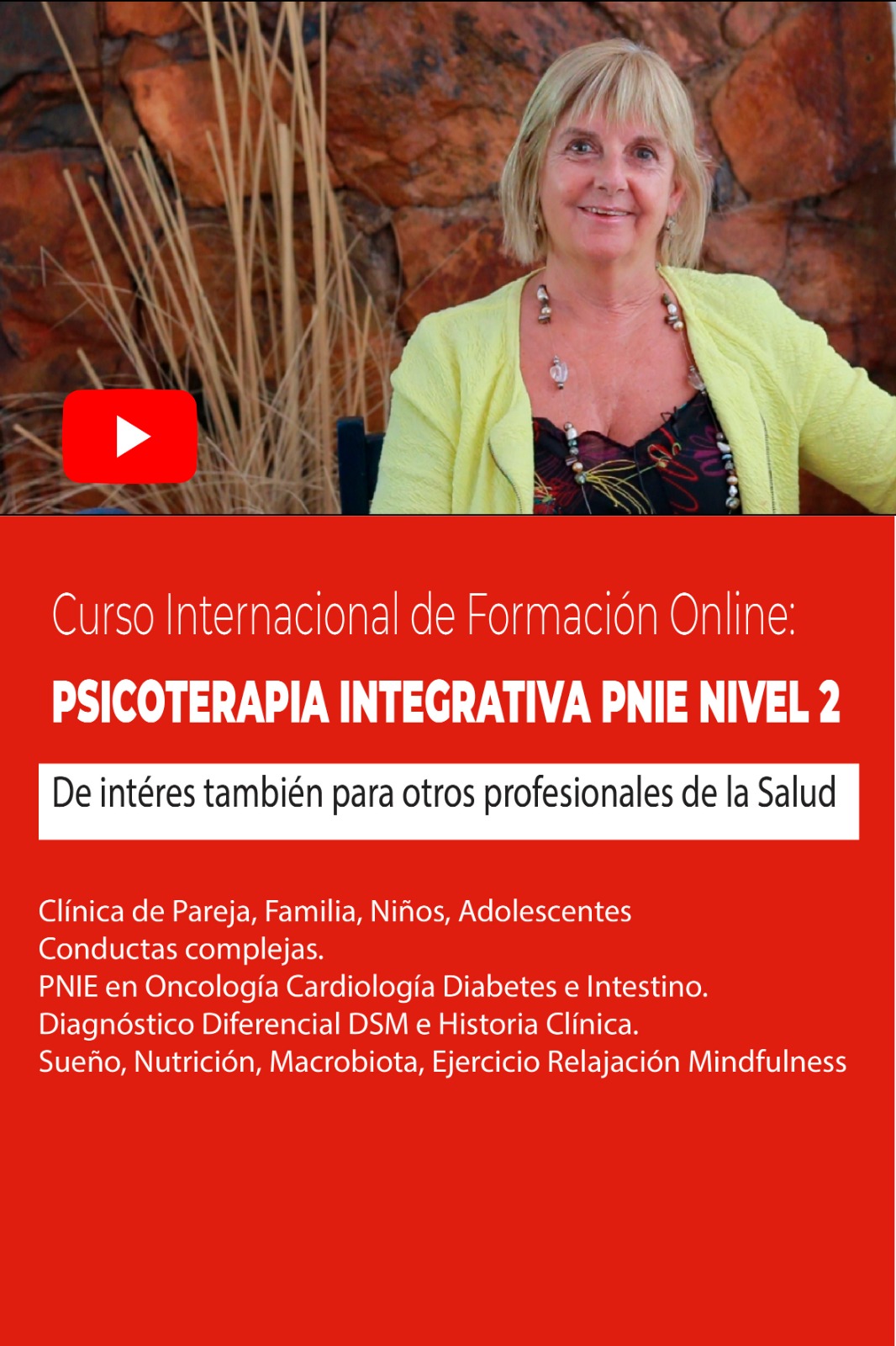 Imagen_difusion_Curso_PI_PNIE_online_nivel_2.jpeg